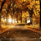 landscapes-202a