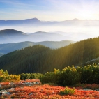 landscapes-209a