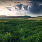 landscapes-211a