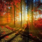 landscapes-214a