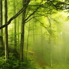 landscapes-224a