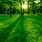 landscapes-226a