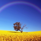 landscapes-227a