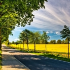 landscapes-234a