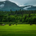 landscapes-245a