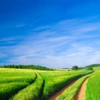 landscapes-246a