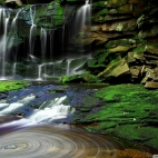 moss_on_the_rocks-wallpaper-1920x1200