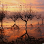 reflexos_2-wallpaper-1920x1200