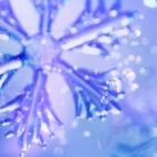 Holiday Wallpaper HD 029