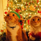 Holiday Wallpaper HD 082