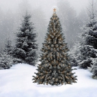 Holiday Wallpaper HD 091