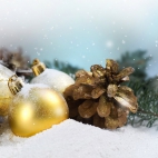 Holiday Wallpaper HD 101