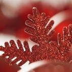 Holiday Wallpaper HD 108