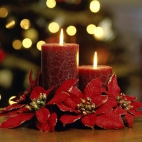 Holiday Wallpaper HD 183