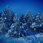 Holiday Wallpaper HD 196