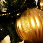 Holiday Wallpaper HD 253