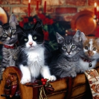 Holiday Wallpaper HD 279