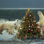 Holiday Wallpaper HD 286