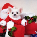 Holiday Wallpaper HD 295