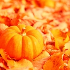 Holiday Wallpaper HD 316