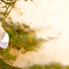 Holiday Wallpaper HD 325