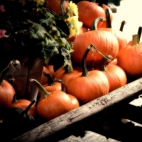 Holiday Wallpaper HD 327