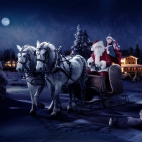 Holiday Wallpaper HD 360