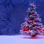 Holiday Wallpaper HD 376