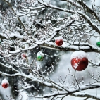 Holiday Wallpaper HD 400