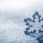 Holiday Wallpaper HD 459