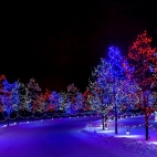 Holiday Wallpaper HD 485