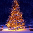 Holiday Wallpaper HD 493