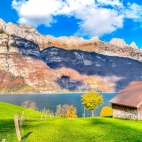 58 (4)