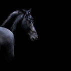 100 Beautiful Ultra HD 4K Wallpapers Pack-15 (36)