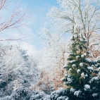 100 Beautiful Ultra HD 4K Wallpapers Pack-6 (40)