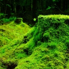 100 Beautiful Ultra HD 4K Wallpapers Pack-6 (62)