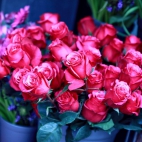 100 Beautiful Ultra HD 4K Wallpapers Pack-6 (79)