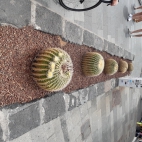 20220624_114555