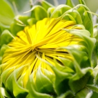 100 Amazing Mixed Wallpapers {Pack -337} (14)