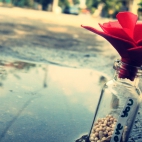 100 Amazing Mixed Wallpapers {Pack -338} (23)