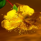 100 Amazing Mixed Wallpapers {Pack -338} (30)