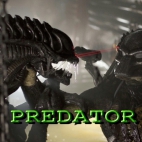predator1