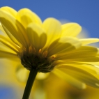 100 Amazing Mixed Wallpapers {Pack -340} (9)