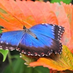100 Amazing Mixed Wallpapers {Pack -340} (13)