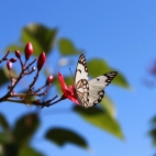 100 Amazing Mixed Wallpapers {Pack -340} (29)
