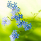 100 Amazing Mixed Wallpapers {Pack -340} (33)