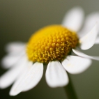 100 Amazing Mixed Wallpapers {Pack -340} (81)