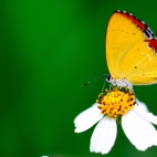 100 Amazing Mixed Wallpapers {Pack -340} (88)