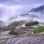rice-terraces-in-early-morning-mist-2c-guangxi-province-2c-china_1920x1080_69103