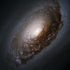 Blackeye Galaxy